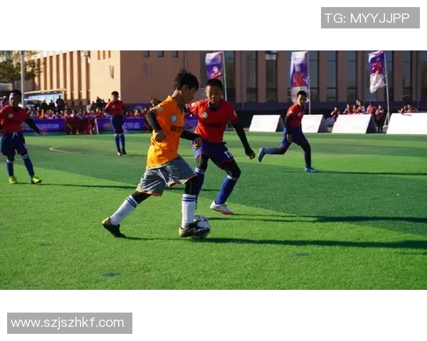 足球制霸之路：从青训到职业联赛的全方位解析与成功秘诀